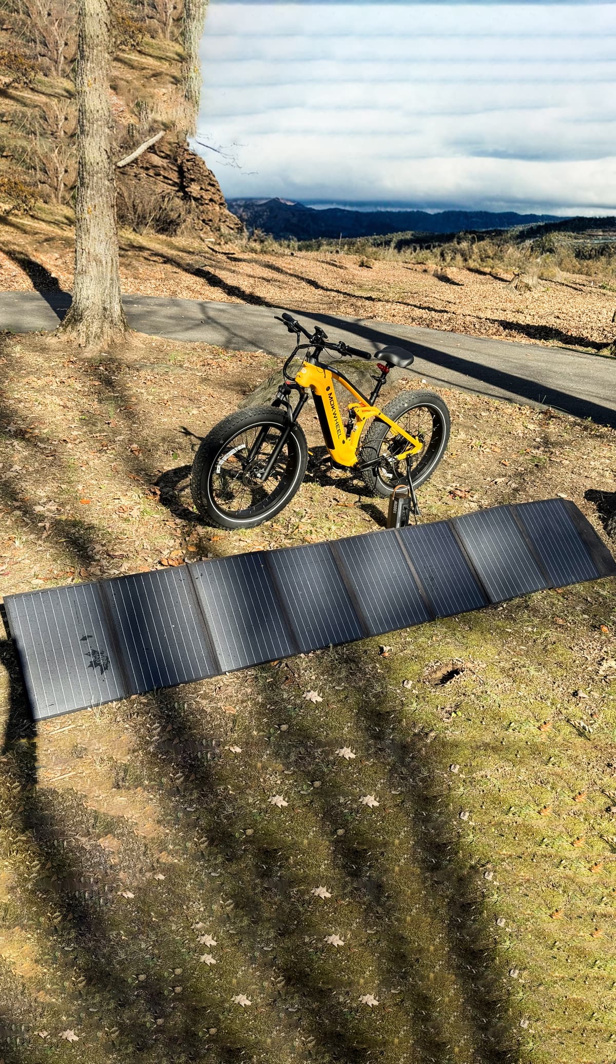 Mokwheel Electric Bikes: Detailed, Real-World Lineup Review