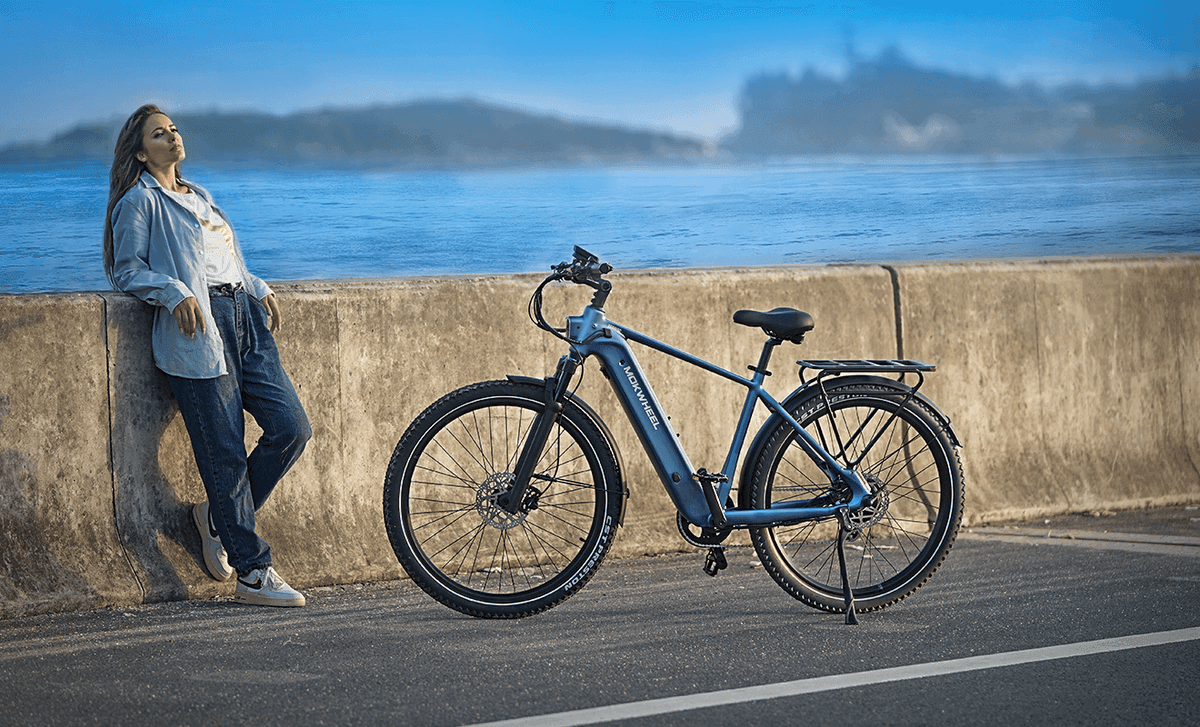Tarmac Ebike