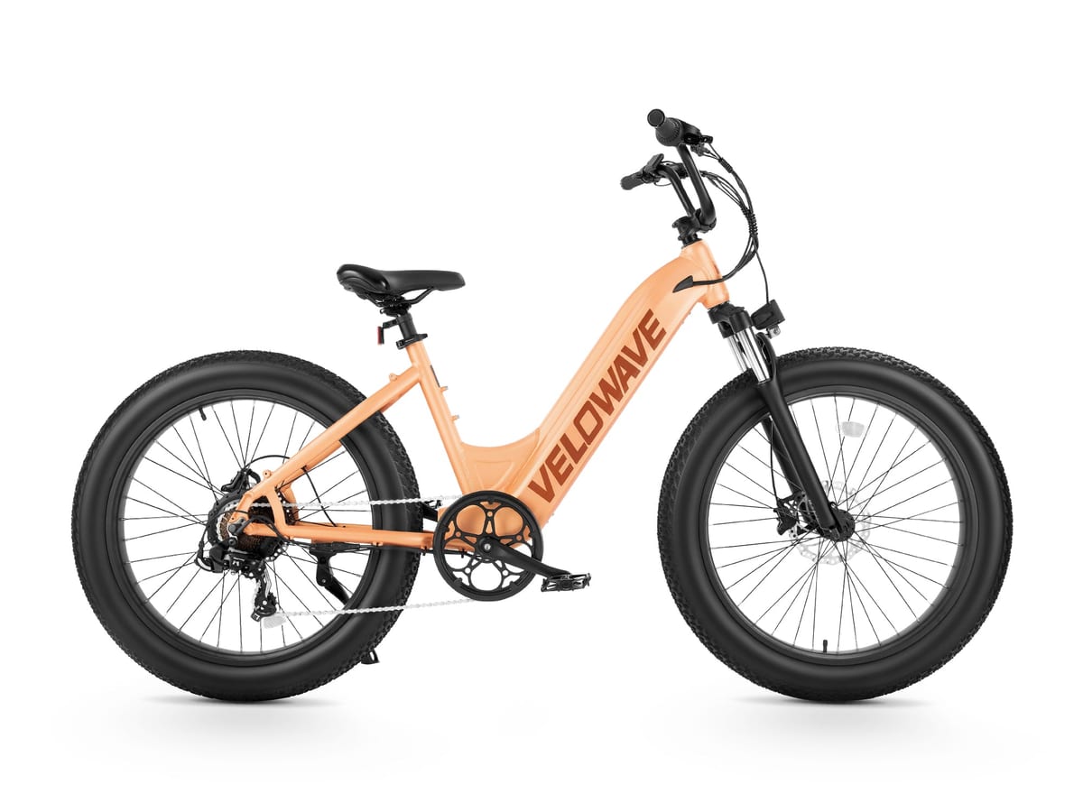 Rover Step-Thru Electric Bike